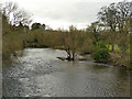 SE1148 : The river Wharfe at Ilkley in March by Stephen Craven