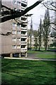 TQ2174 : Alton West Estate, Roehampton, 1966  7 by Alan Murray-Rust