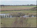 SE4427 : Drowning hedge, Newton Ings by Christine Johnstone