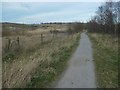 SE4426 : Riverbank trail, RSPB Fairburn Ings by Christine Johnstone