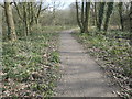 SE3423 : Hedgehog by the path, Stanley Marsh local nature reserve by Christine Johnstone