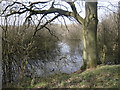 SE3423 : Woodland and water, Stanley Marsh local nature reserve by Christine Johnstone