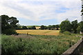 NO6851 : Vegetation variation from the bridge over Lunan water to Hawkhill by Adrian Diack