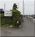 ST3090 : Flowers at the Ivy nameboard, Malpas Road, Newport by Jaggery