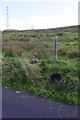 SD9389 : View of mast beside Carpley Green Road from  Blean Lane by Luke Shaw