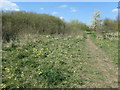 SE3522 : Springtime in Ferryboat Fields by Christine Johnstone