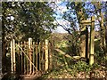 ST1136 : Old kissing gate by Marika Reinholds