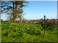 ST3087 : Enjoying the view, Belle Vue Park, Newport by Robin Drayton