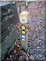 SH6166 : A busy waymark post on the bank of Afon Ogwen, Bethesda by Meirion