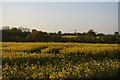 TM3965 : Looking north off Lowes Hill by Christopher Hilton