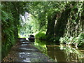 SJ6930 : Narrowboat in the Woodseaves Cutting by Mat Fascione