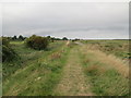 TF8343 : Norfolk  Coast  Path  goes  right  on  flood  bank by Martin Dawes