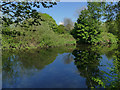 SE2635 : Kirkstall Valley Nature Reserve: river Aire by Stephen Craven