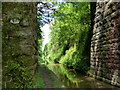 SJ6930 : High Bridge No 57 in the Woodseaves Cutting by Mat Fascione