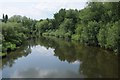 SJ5904 : River Severn at Cressage by Philip Halling