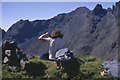 NG4724 : From the summit of Sgurr Beag in the Cuillin by Jim Barton