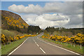 NH7797 : The Empty A9 at the Mound during the 2020 lockdown, Sutherland by Andrew Tryon