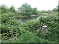 SE3419 : Repurposed mooring post, south bank of the Calder by Christine Johnstone