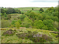 SE1029 : View across the valley from the Burnt Brow path, Queensbury by Humphrey Bolton