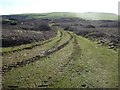 SX6644 : Bantham Estate Vehicle Tracks 2 by Nick Cotter