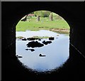 NT0136 : Reflection under an archway, Wolfclyde Bridge by Alan O'Dowd