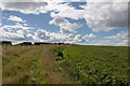 NO7047 : Vegetation variation on a farm track near Red Head by Andrew Diack