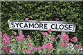 TF0820 : Sycamore Close by Bob Harvey