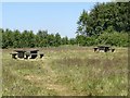 SK3222 : Picnic area at Hartshorne Wood by Ian Calderwood