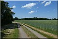 SE5245 : Old Street and wheat fields by DS Pugh