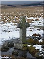 SX6470 : Old Wayside Cross by Mark Noddy Fenlon