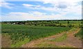 NO3200 : View over Fife countryside by Bill Kasman