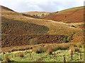 SN7453 : Doethie moorland near Llethr Llwyd, Ceredigion by Roger  D Kidd