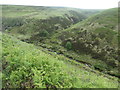 SE0508 : Ruined sheepfold on the west bank of Wessenden Brook by Christine Johnstone