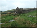 SE0509 : The ruined New Close farmstead [northern part] by Christine Johnstone