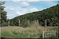 SO5630 : Ballingham viaduct remains by John Winder