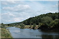 SO5530 : River Wye near Hoarwithy by John Winder