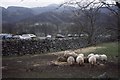 SH6431 : Car park, Cwm Bychan by Richard Webb