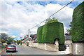 SP5621 : Fine Hedges at the Old Vicarage by Des Blenkinsopp