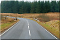 NT0511 : A701 towards Moffat by David Dixon