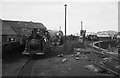 SH5837 : Festiniog Railway  1965. Preparing for a day's work at Boston Lodge by Alan Murray-Rust