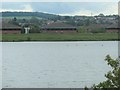 SE3218 : Four swimmers in the eastern lake, Calder Park by Christine Johnstone