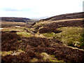 NY9503 : The headwaters of Little Punchard Gill by Andy Waddington