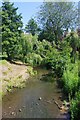 TL4821 : River Stort Near Waytemore Castle by Glyn Baker