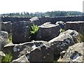 NY9583 : Interior of sheepfold by Oliver Dixon