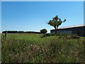 SP1812 : Remains of WW2  blast shelters, former RAF Windrush by Vieve Forward