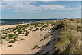 NH8195 : Sand Dunes on Coul Links by valenta