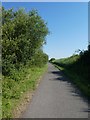 SX9687 : The Exe Valley Way beside Exeter Canal by David Smith