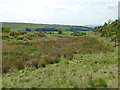 SD9438 : Boggy ground near Foster's Leap Farm by Stephen Craven