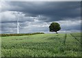 NS7848 : Moody skies near Bogside by Alan O'Dowd