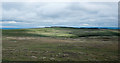 NZ0704 : Moorland east of Holgate Pasture by Trevor Littlewood